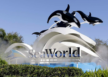 Luxury Champions Gate Villa - Seaworld